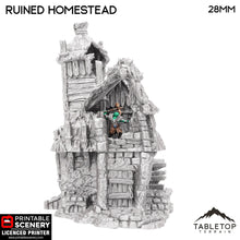 Ruined Homestead - Hagglethorn Hollow - Fantasy Ruins