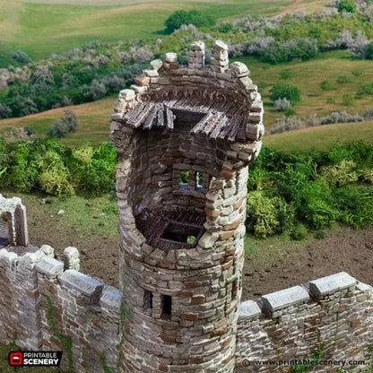 Ruined King's Round Tower - Country & King - Fantasy Historical Ruins