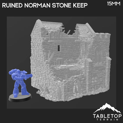 Ruined Norman Stone Keep - Country & King - Fantasy Historical Ruins