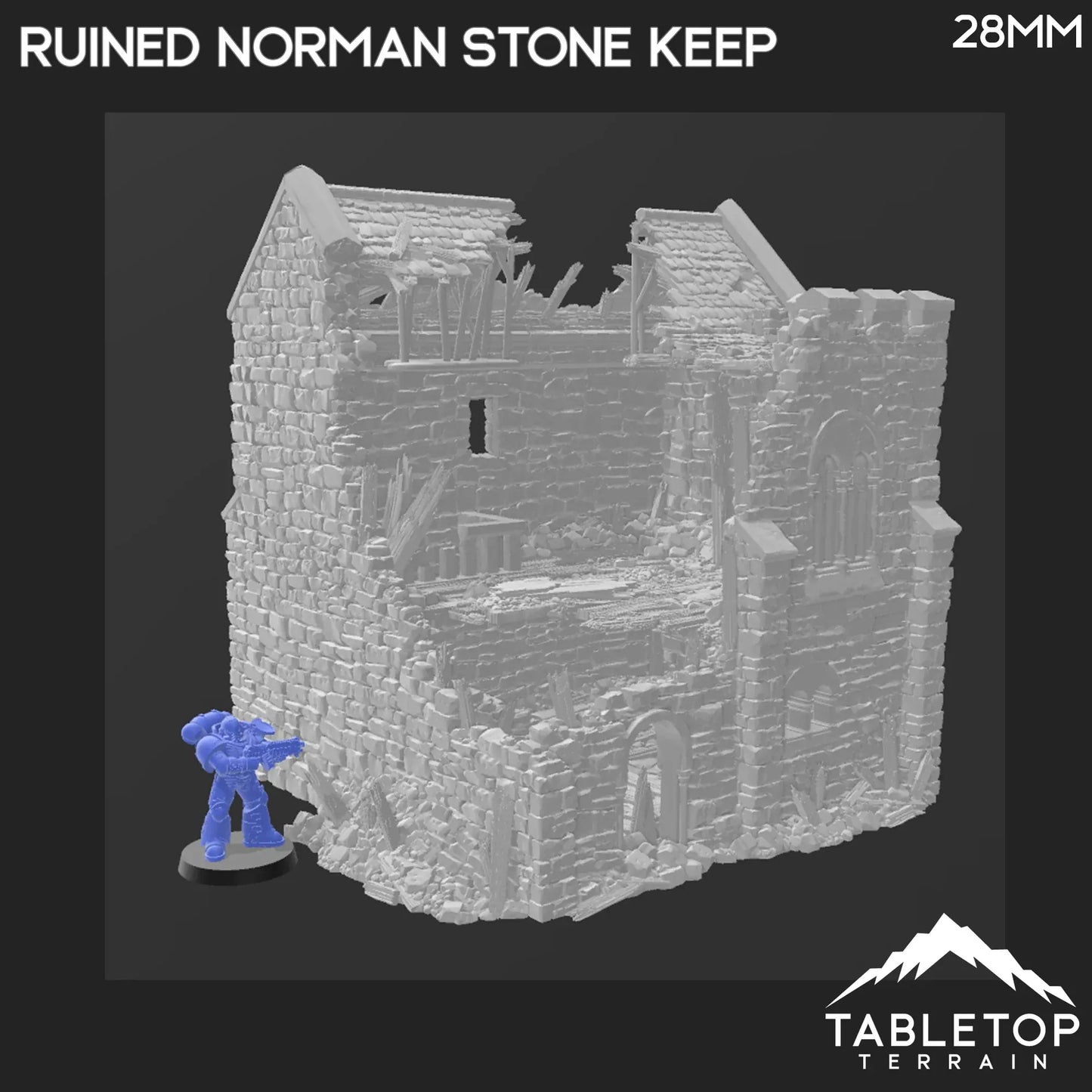 Ruined Norman Stone Keep - Country & King - Fantasy Historical Ruins