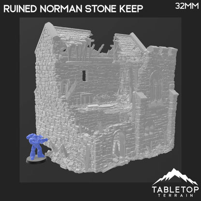 Ruined Norman Stone Keep - Country & King - Fantasy Historical Ruins