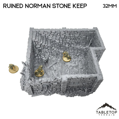 Ruined Norman Stone Keep - Country & King - Fantasy Historical Ruins