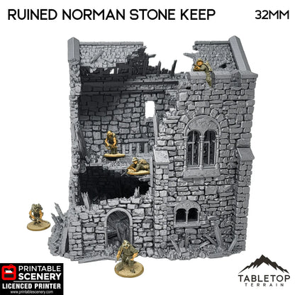 Ruined Norman Stone Keep - Country & King - Fantasy Historical Ruins