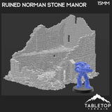 Ruined Norman Stone Manor - Country & King - Fantasy Historical Ruins