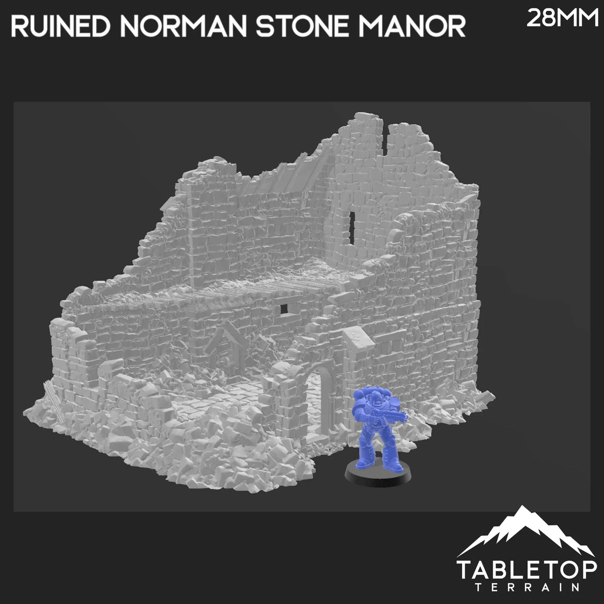 Ruined Norman Stone Manor - Country & King - Fantasy Historical Ruins