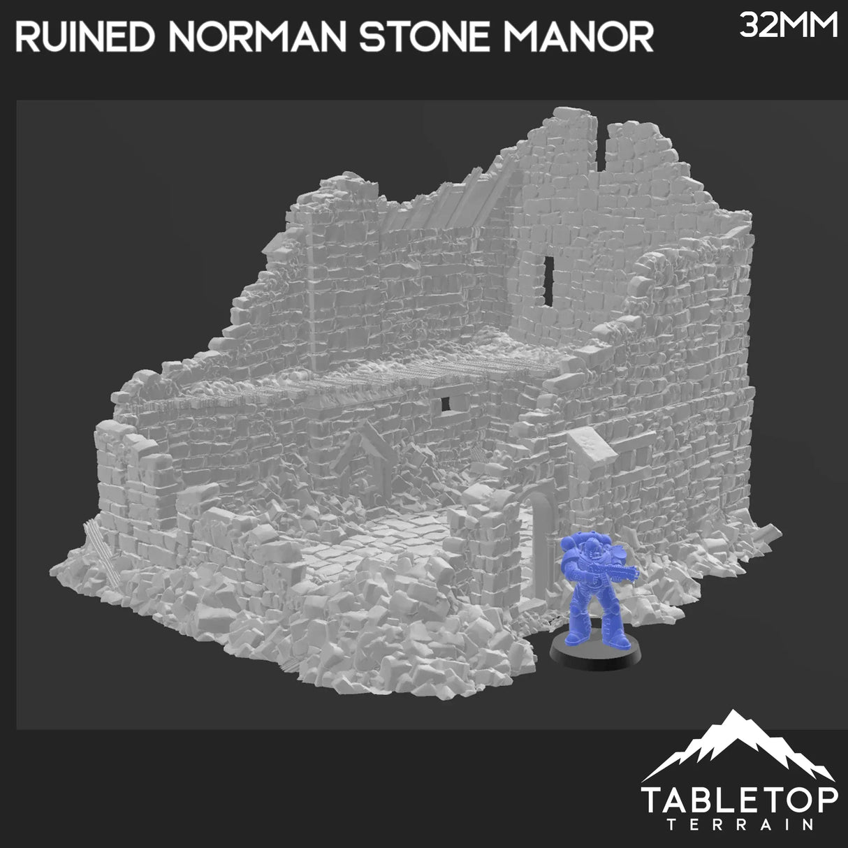 Ruined Norman Stone Manor - Country & King - Fantasy Historical Ruins