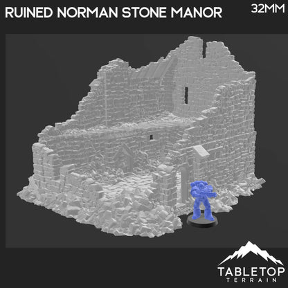 Ruined Norman Stone Manor - Country & King - Fantasy Historical Ruins