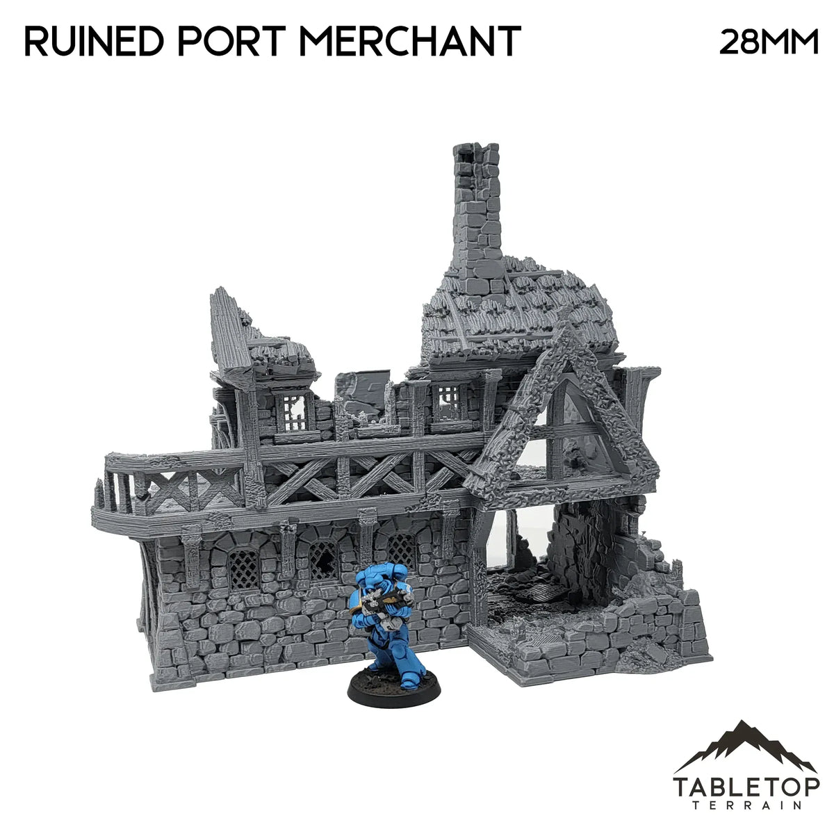 Ruined Port Merchant - Fantasy Ruins