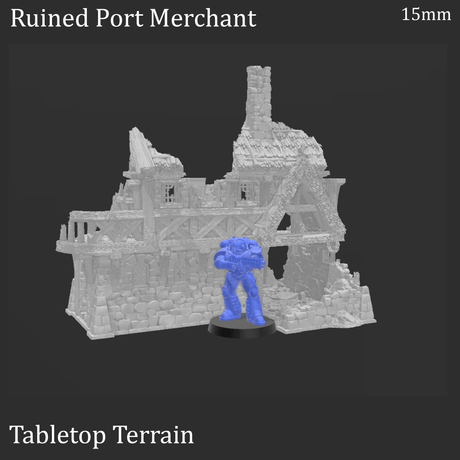 Ruined Port Merchant - Fantasy Ruins