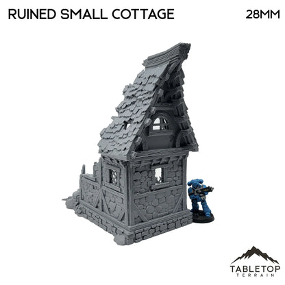 Ruined Small Cottage - Fantasy Ruins