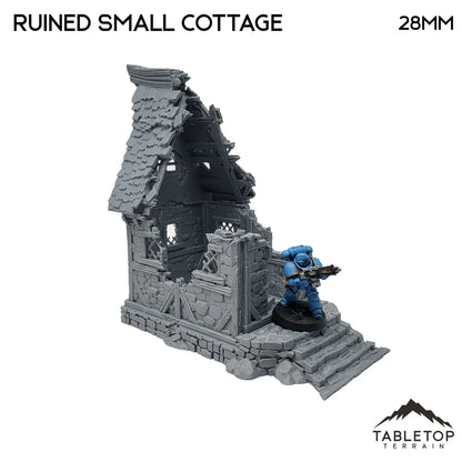 Ruined Small Cottage - Fantasy Ruins