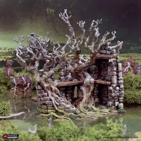 Wildwood Ruins - The Gloaming Swamp