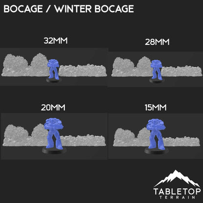 Bocage / Winter Bocage - Country & King - Fantasy Historical Scatter Terrain
