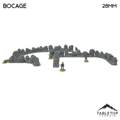 Bocage / Winter Bocage - Country & King - Fantasy Historical Scatter Terrain