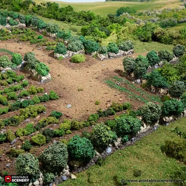 Bocage / Winter Bocage - Country & King - Fantasy Historical Scatter Terrain
