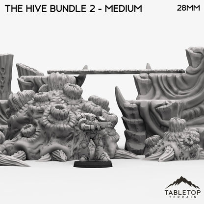 The Hive Bundle 2 - Infested Scatter Terrain