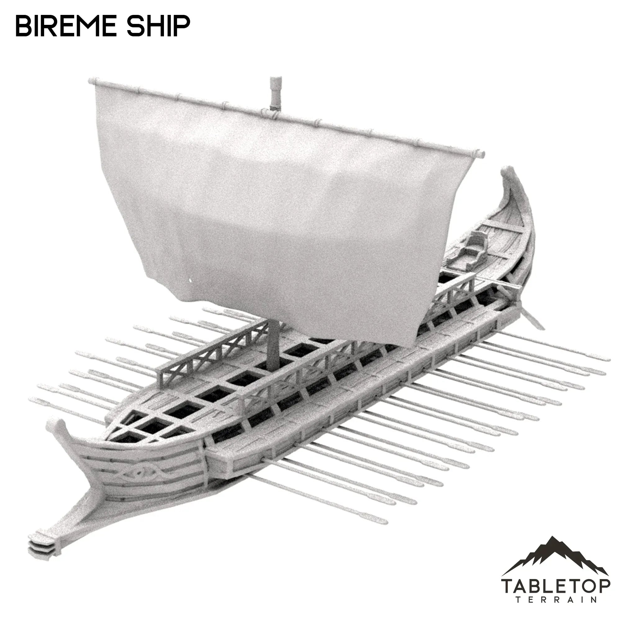 Bireme Ship