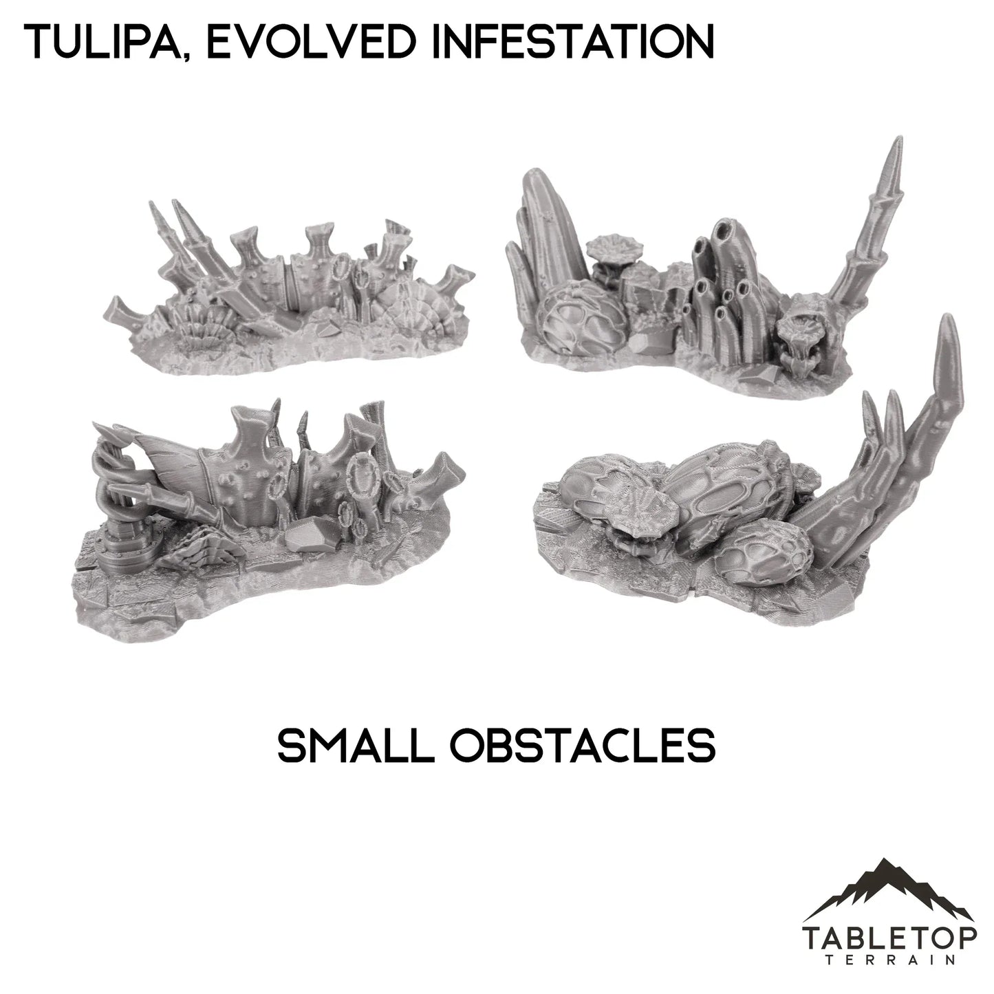 Tulipa, Evolved Infestation