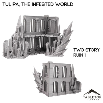 Tulipa, The Infested World