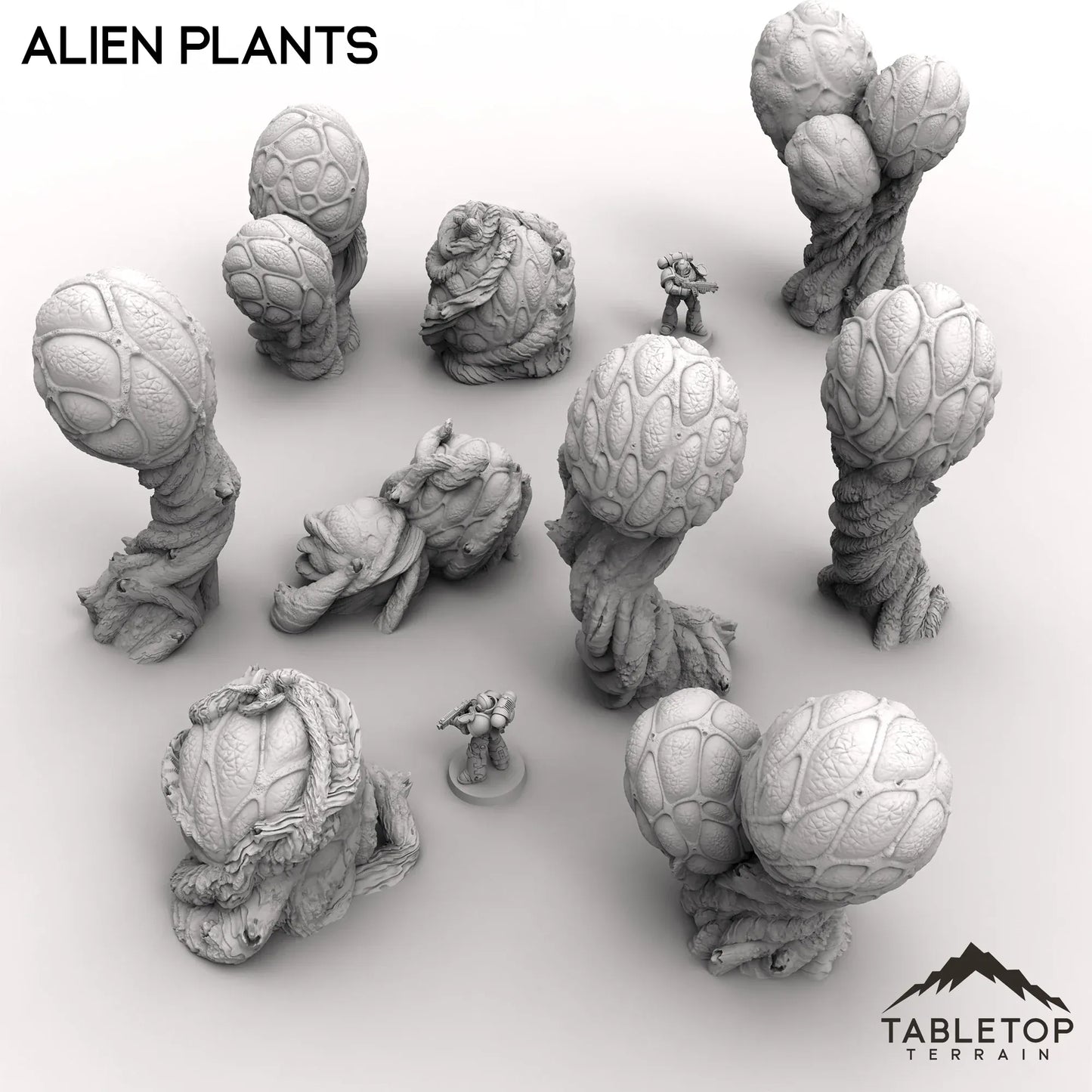 Alien Plants