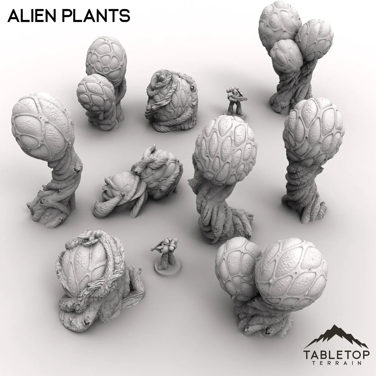 Alien Plants