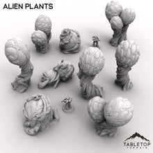 Alien Plants