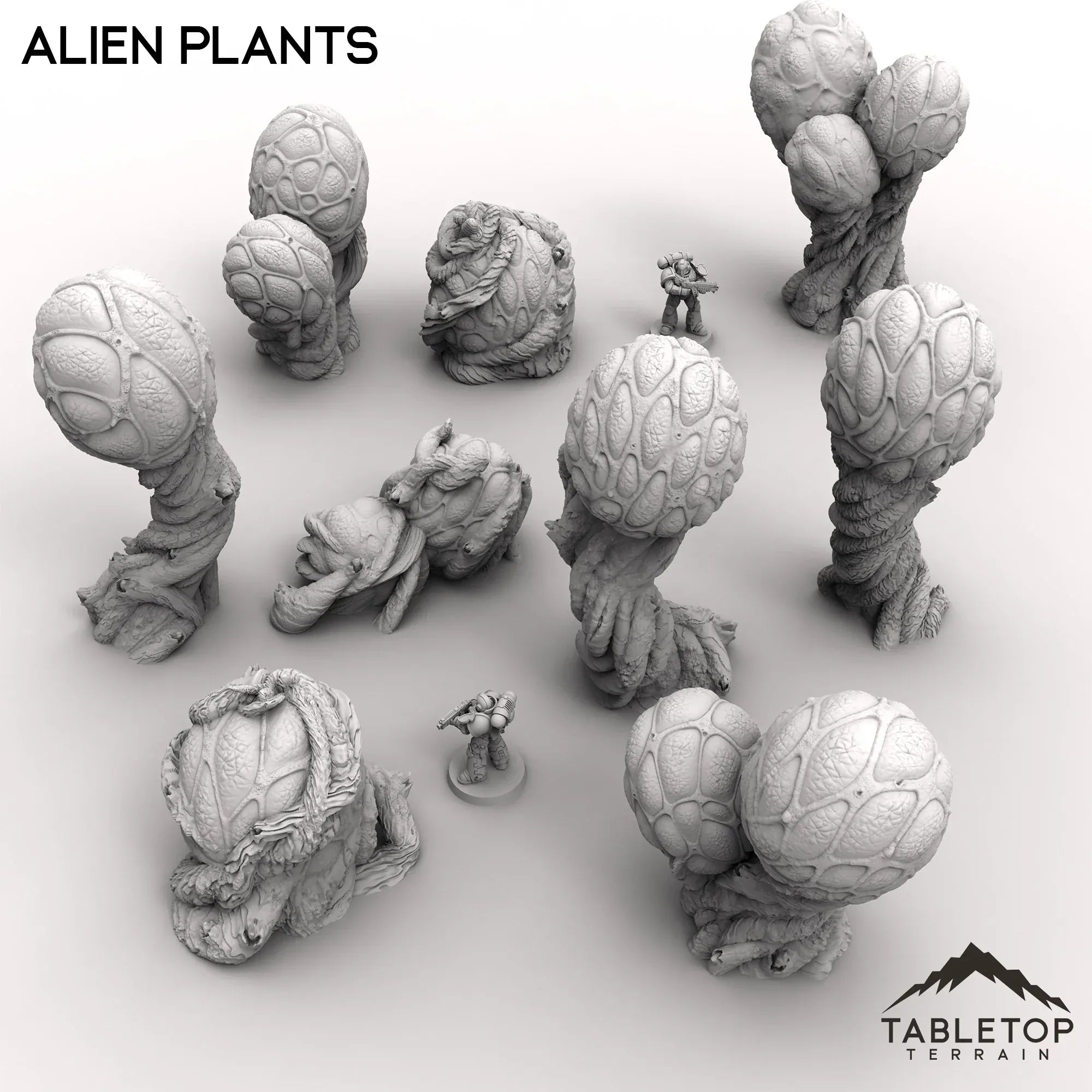 Alien Plants