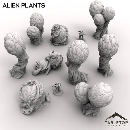Alien Plants