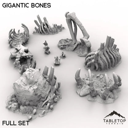 Gigantic Bones