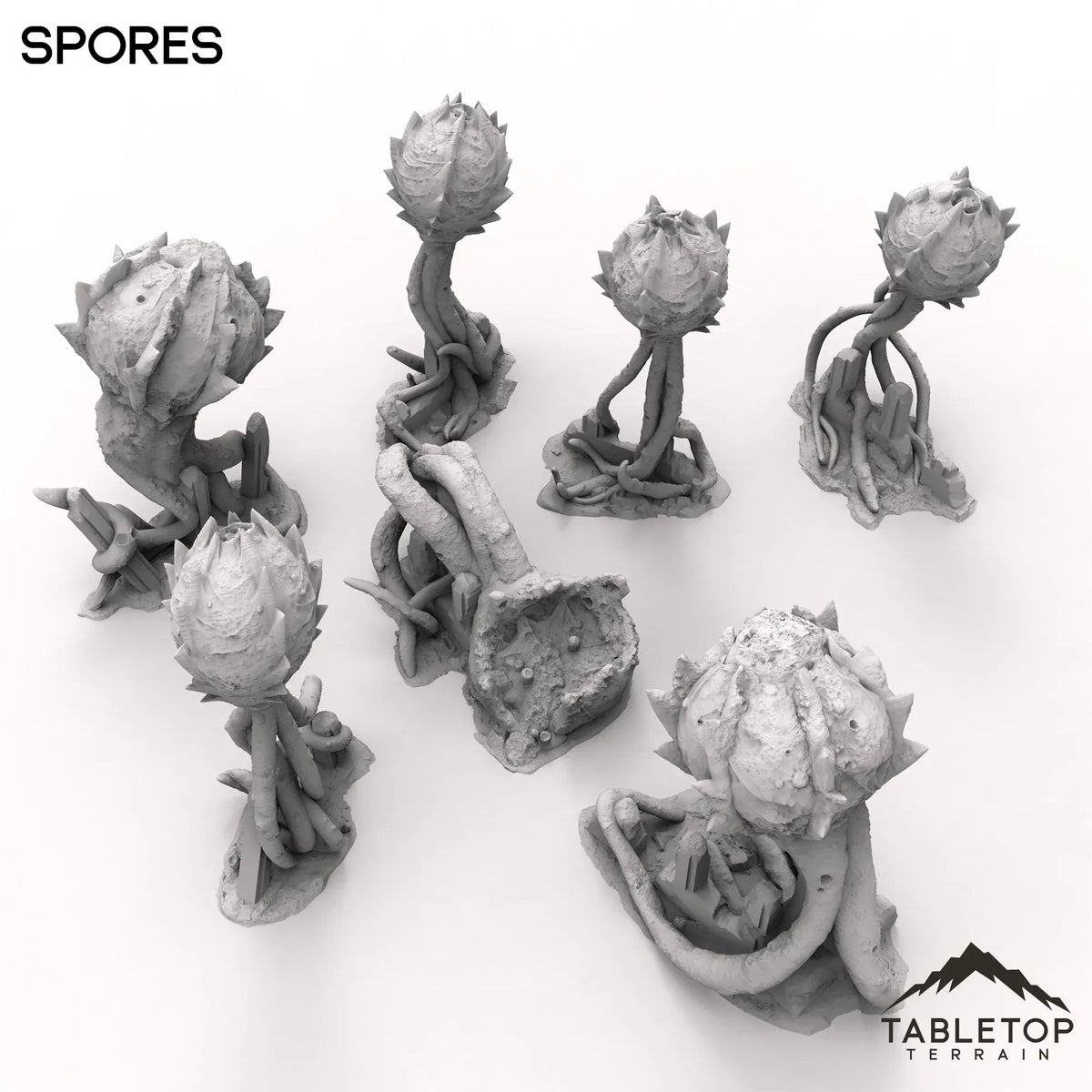 Spores