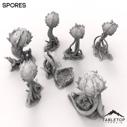 Spores