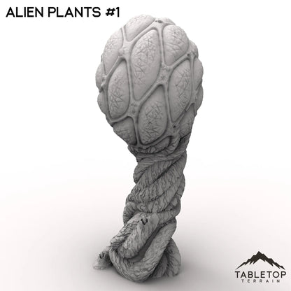 Alien Plants