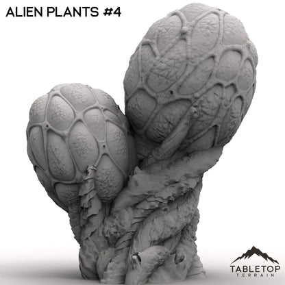 Alien Plants