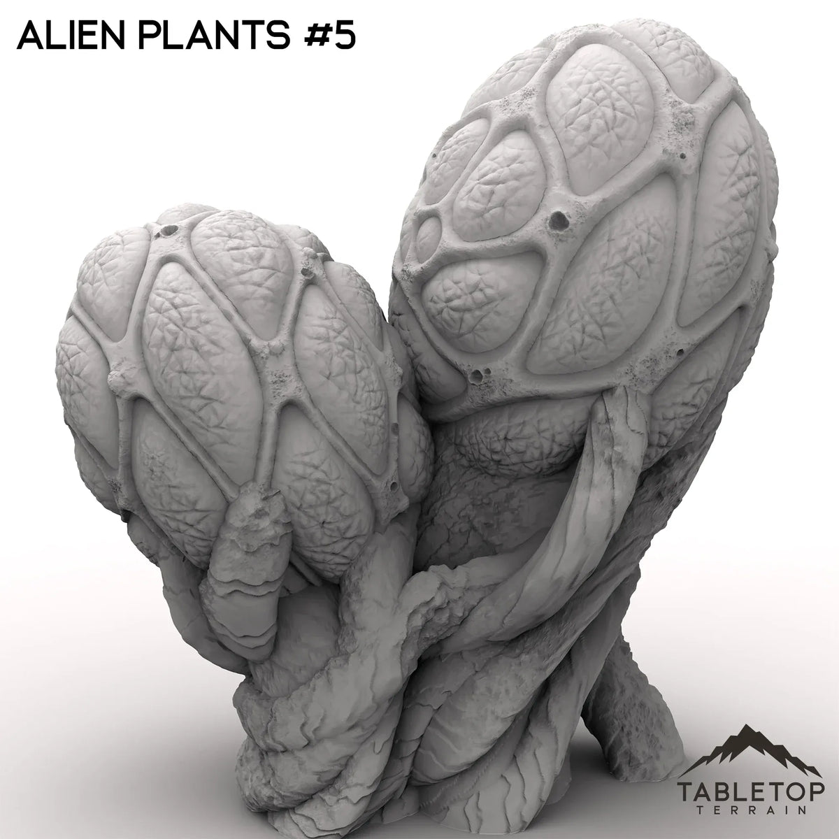 Alien Plants