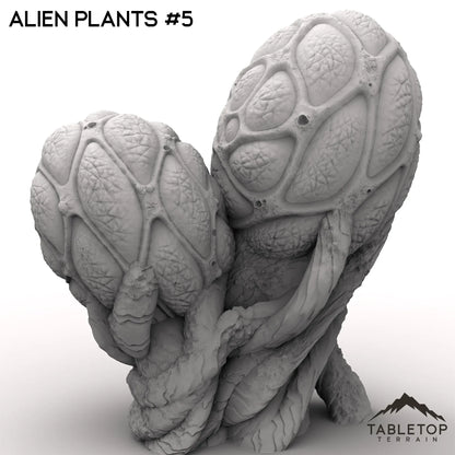 Alien Plants