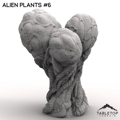 Alien Plants