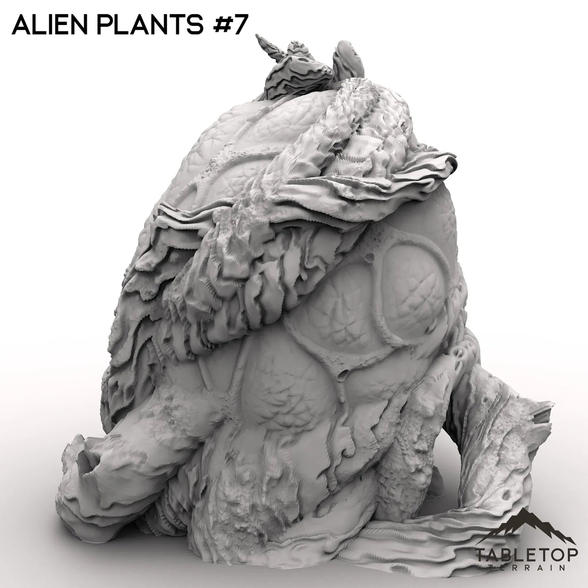 Alien Plants