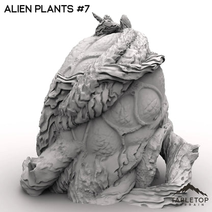 Alien Plants