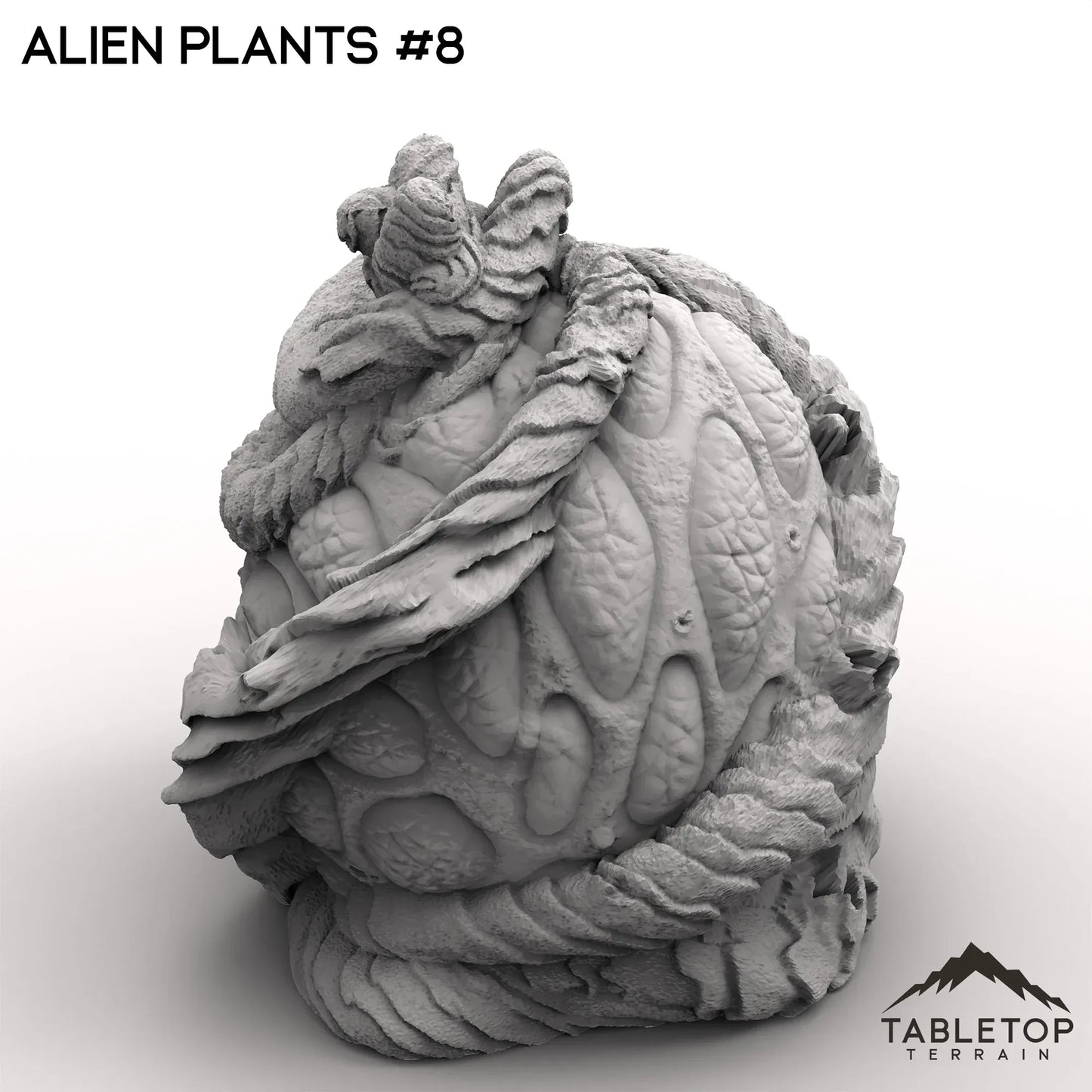 Alien Plants