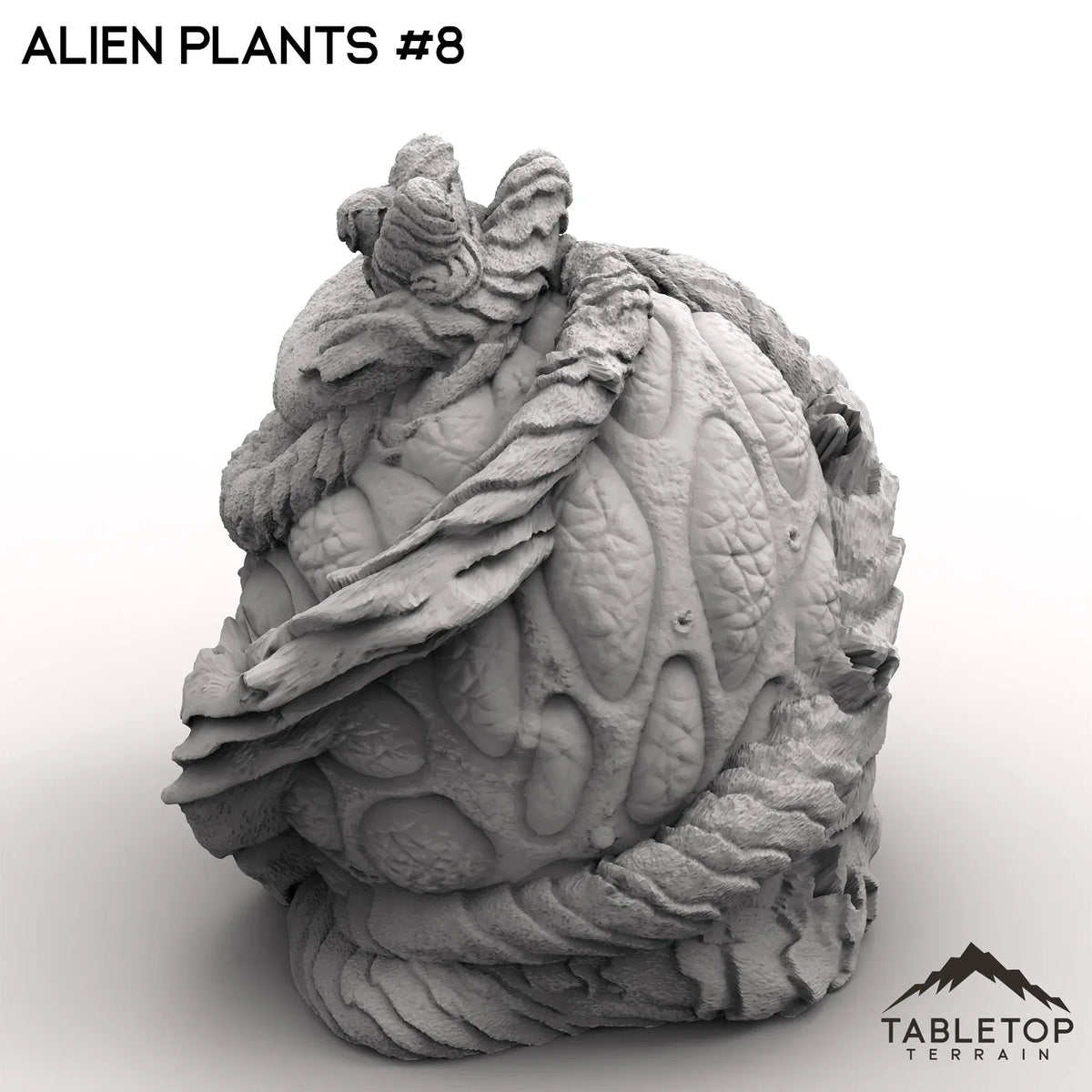 Alien Plants