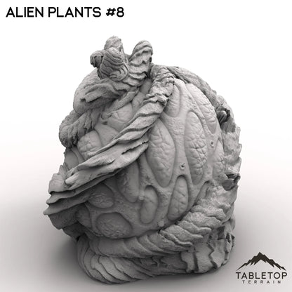 Alien Plants