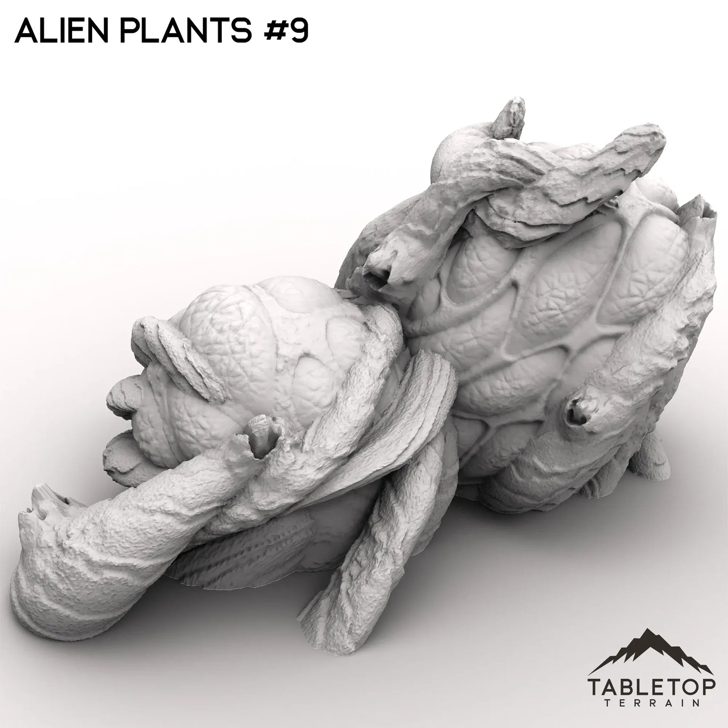 Alien Plants