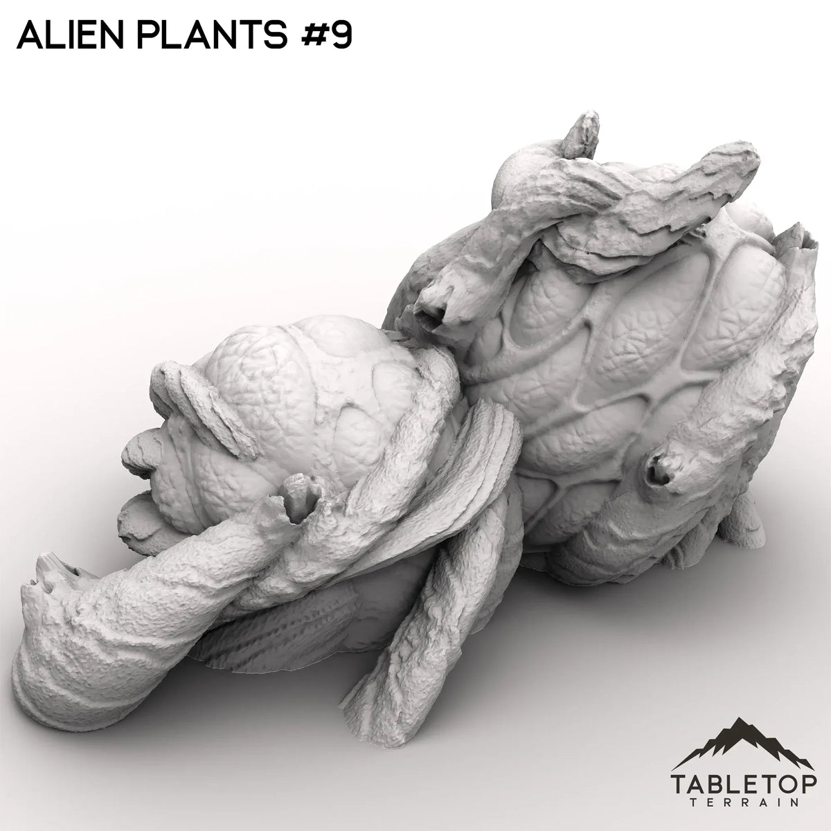 Alien Plants