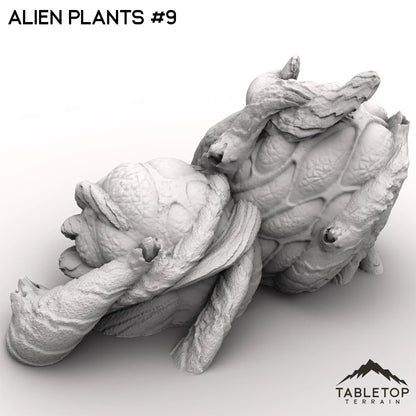 Alien Plants