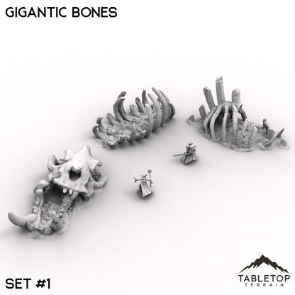Gigantic Bones