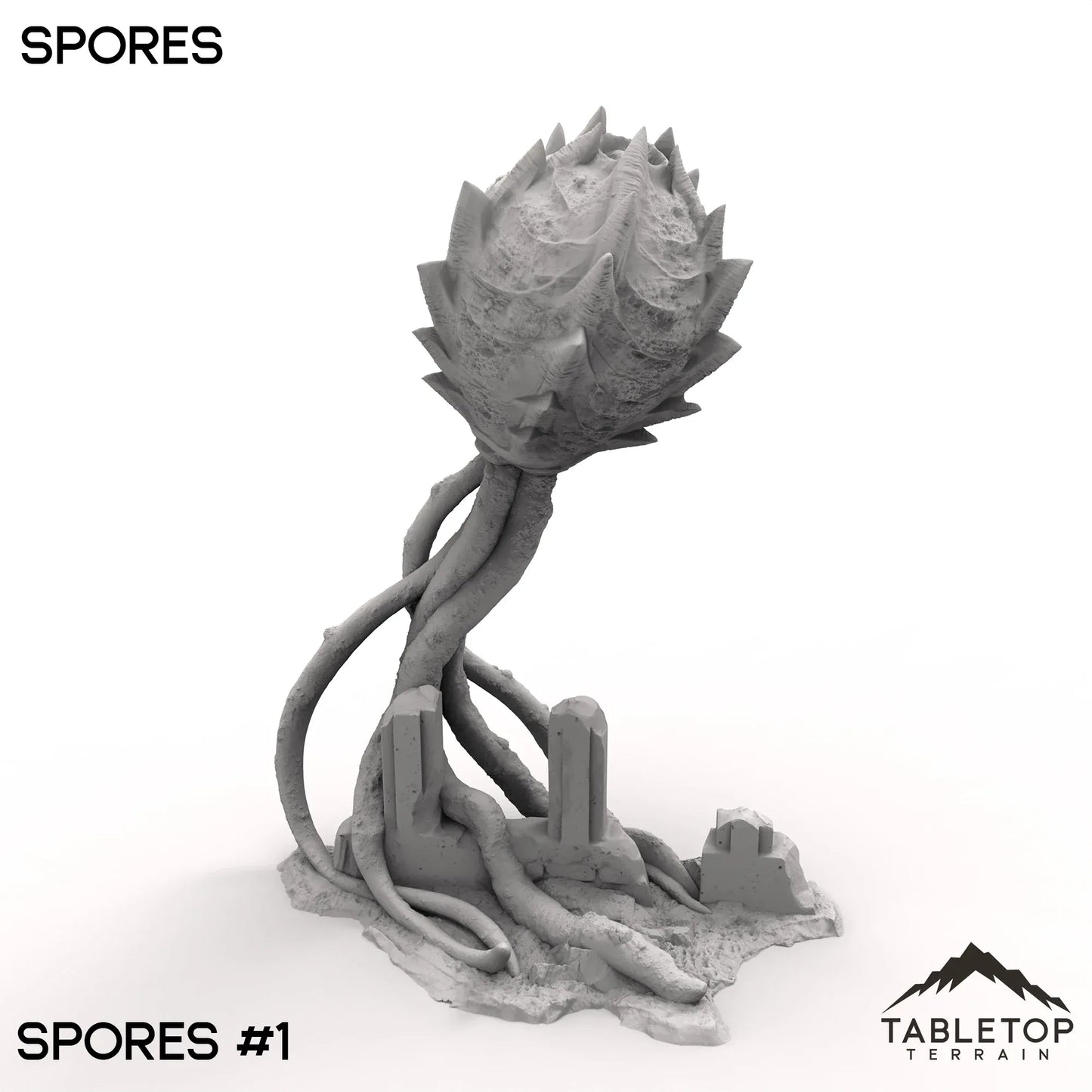 Spores