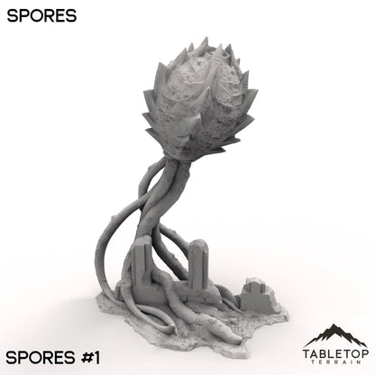 Spores