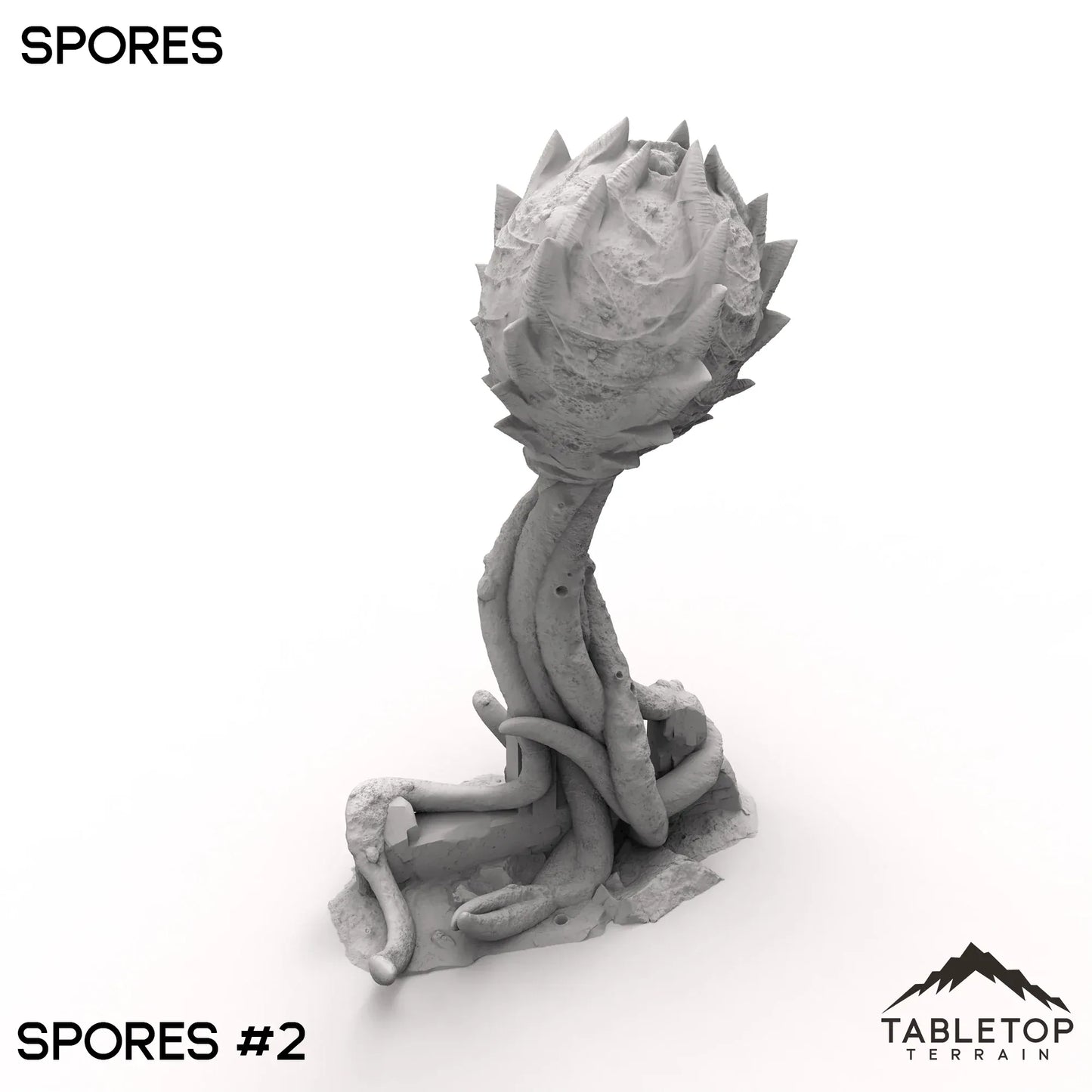Spores