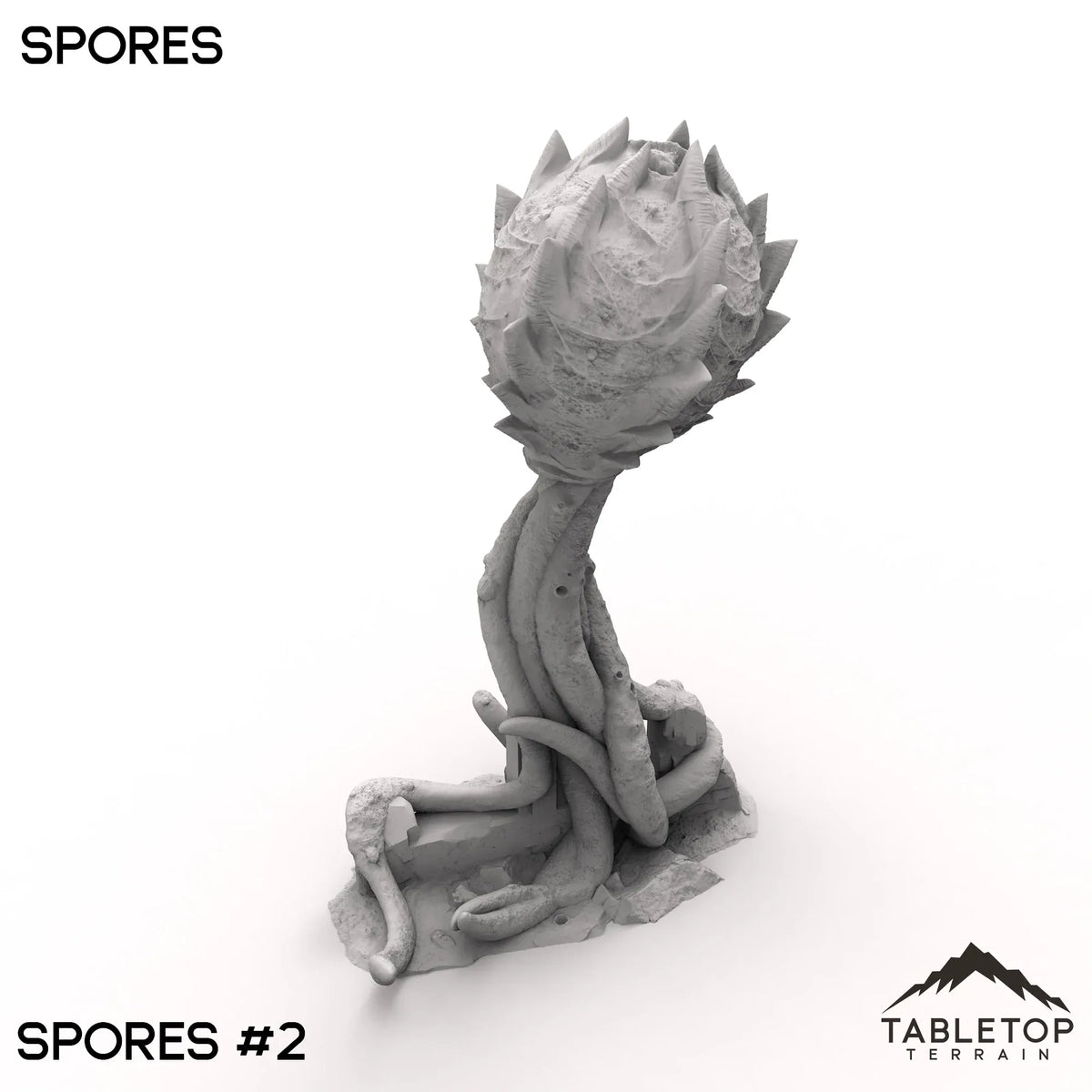 Spores