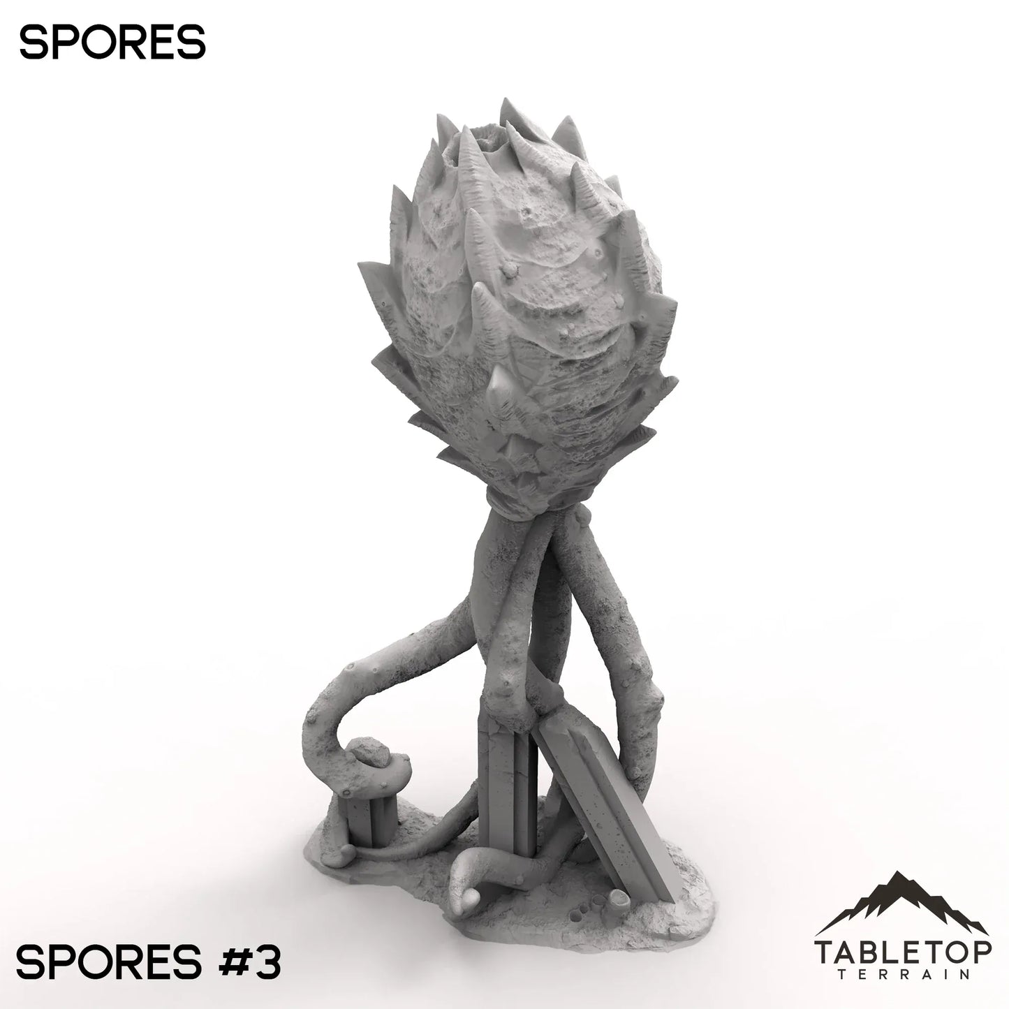 Spores
